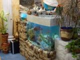 Аквариумный комплекс для рыб и черепах с водопадом